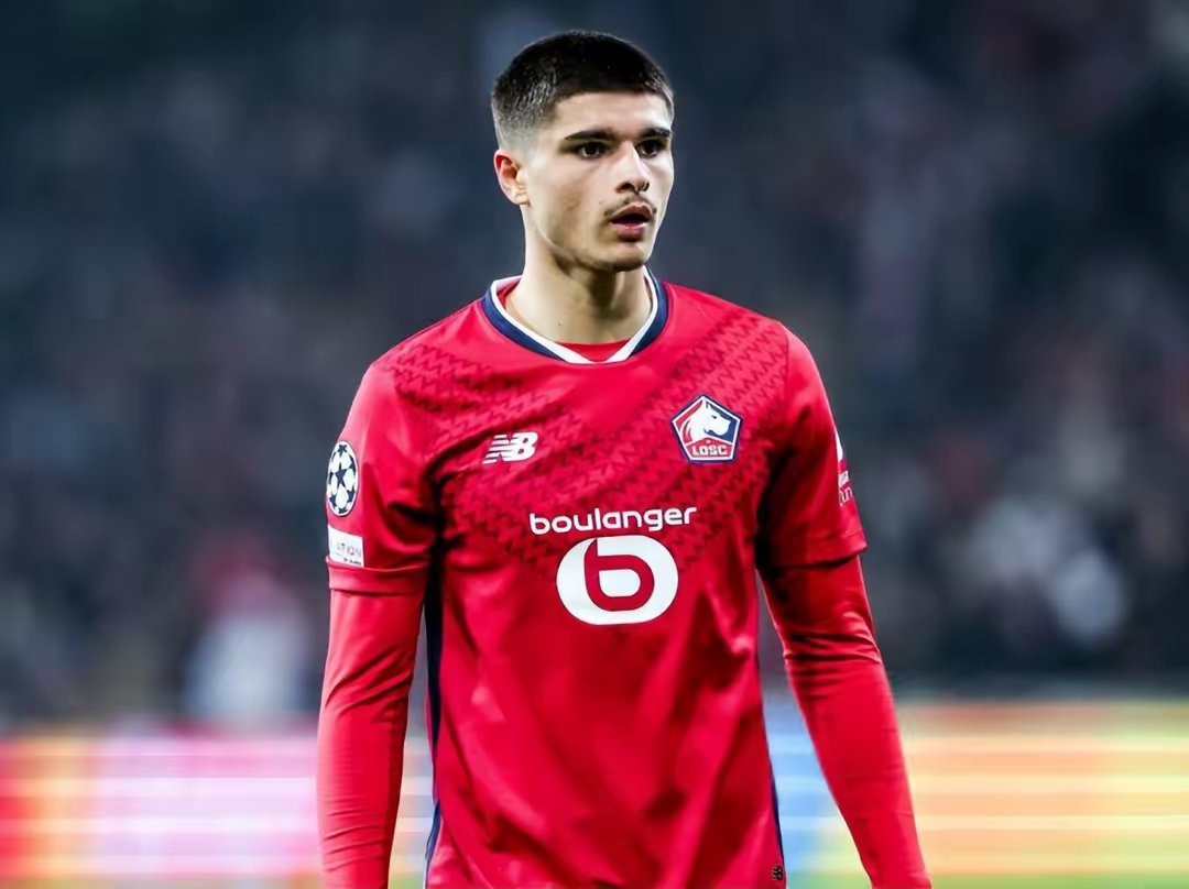 转会期多特蒙德再遭质疑——法甲节点到来；赛场秩序良好；控场能力受关注的简单介绍